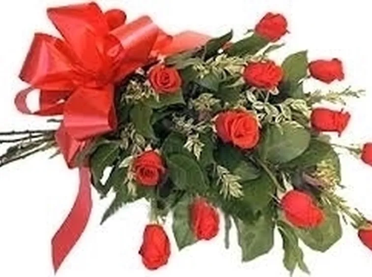consegna fiori Fano