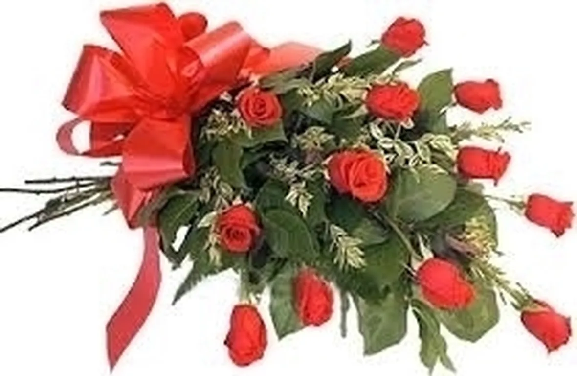 consegna fiori Fano