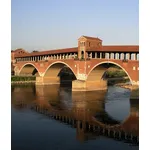 consegna fiori Pavia