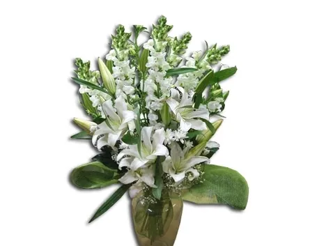 consegna fiori per chiedere scusa-1