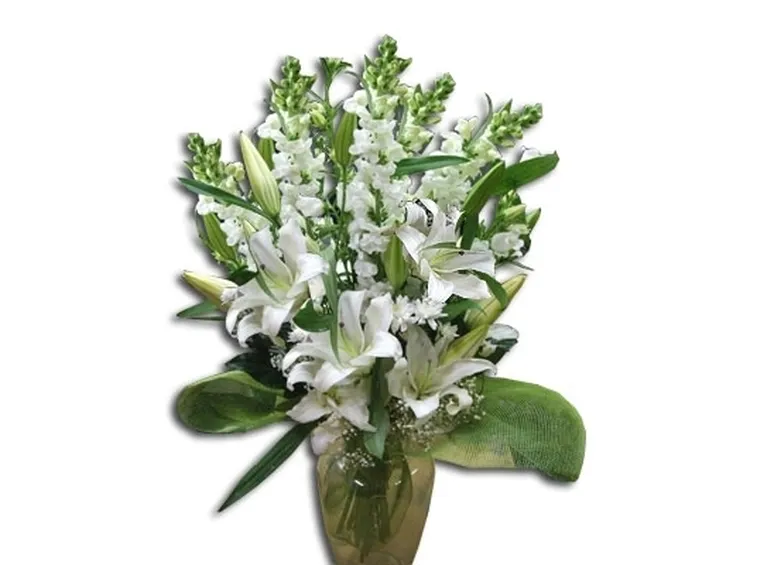 consegna fiori per chiedere scusa-1