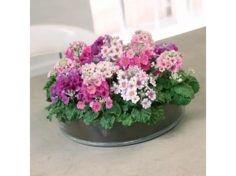 consegna fiori per compleanno