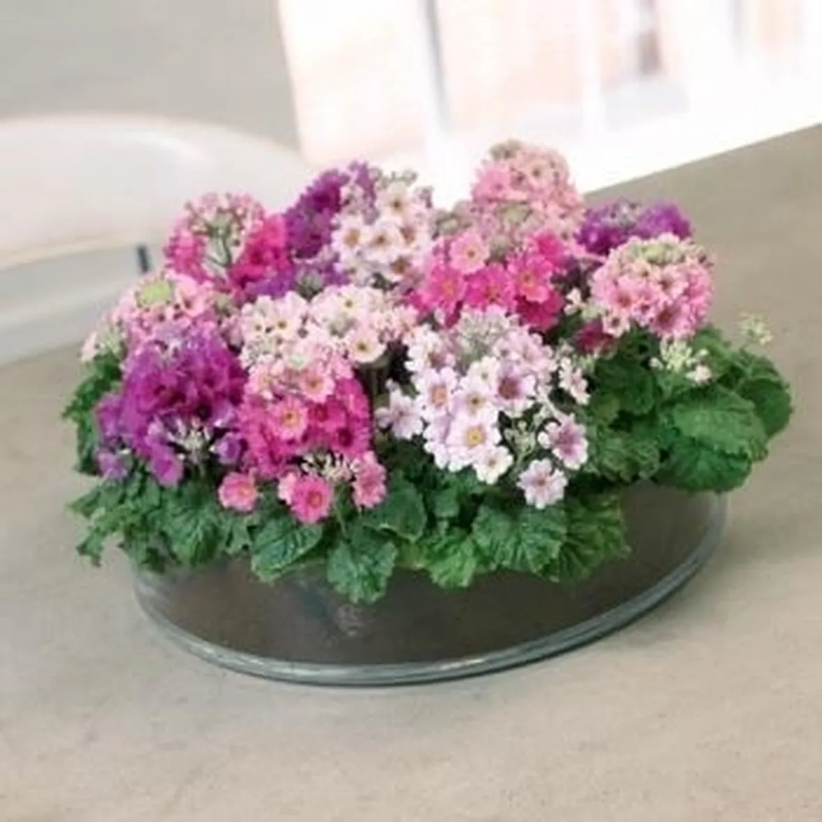 consegna fiori per compleanno