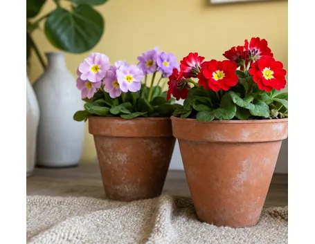 consegna fiori per dirti che?