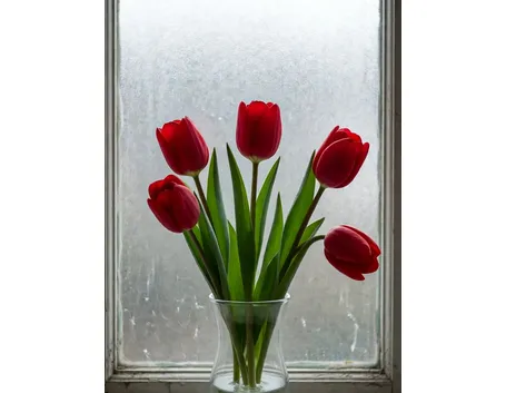 consegna fiori per festa della donna-7
