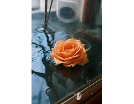 consegna fiori per festa della mamma-3
