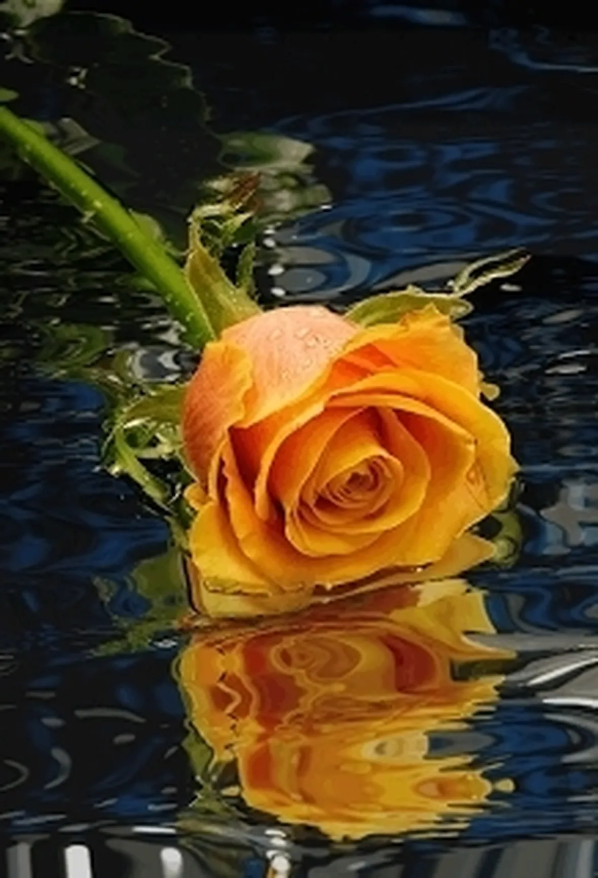 consegna fiori per festa della mamma-3