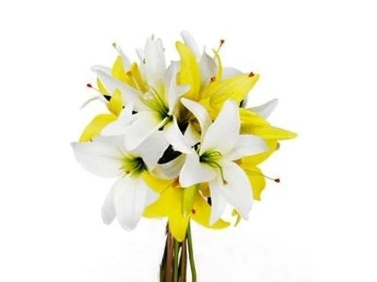 consegna fiori per nascita