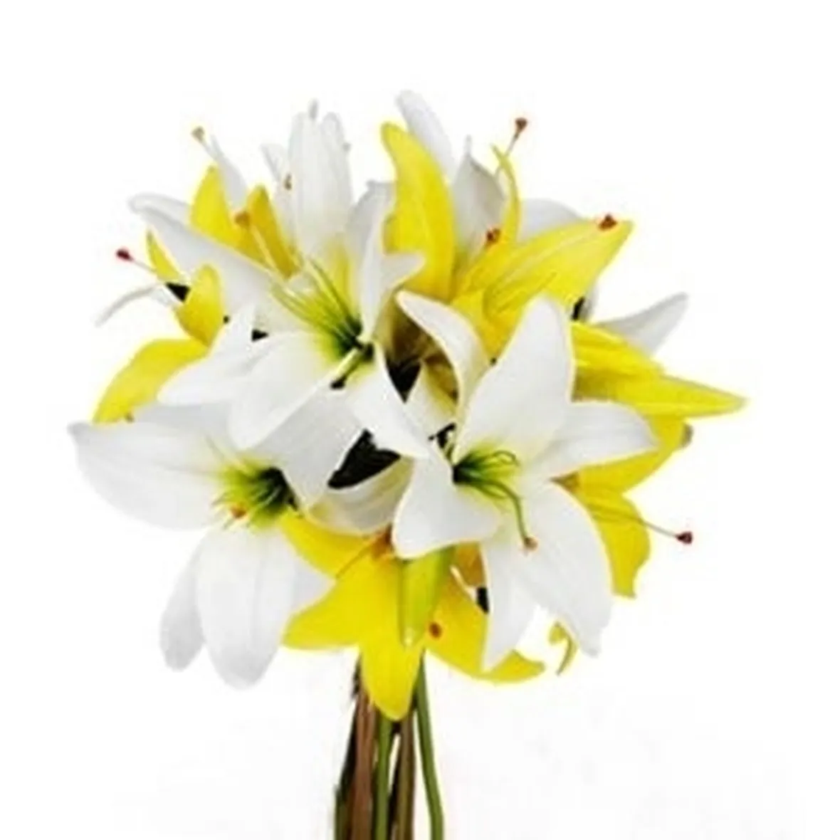 consegna fiori per nascita