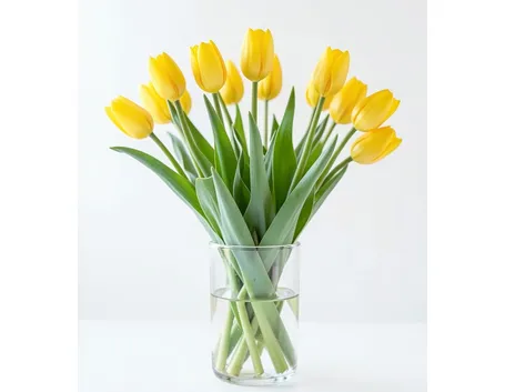 fiera dei fiori
