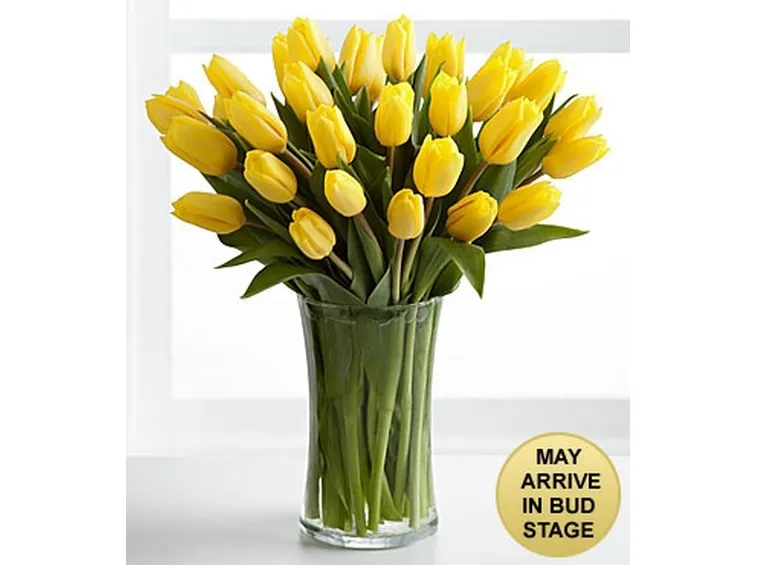 fiera dei fiori