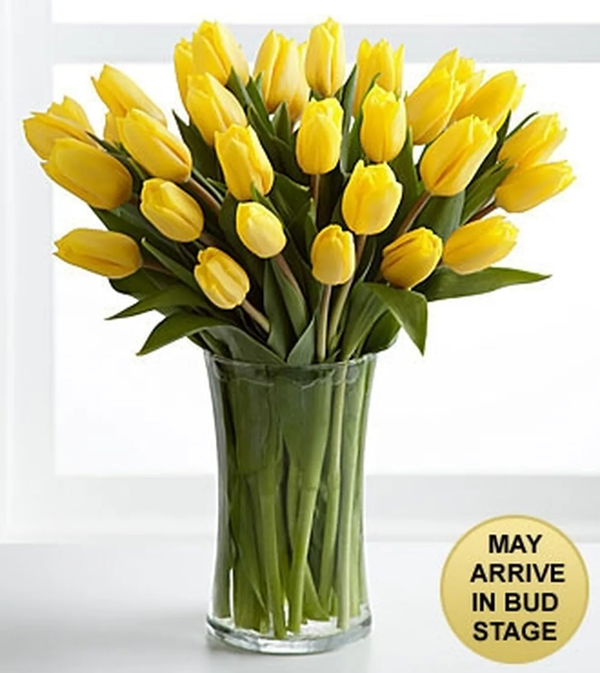 fiera dei fiori