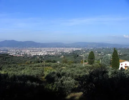 fiori a domicilio Scandicci