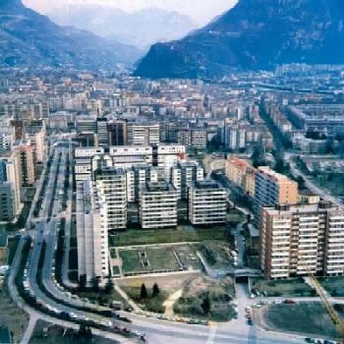 fiori Bolzano