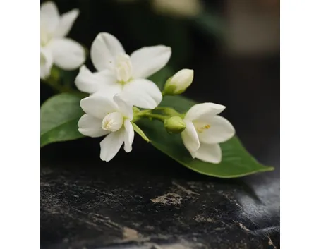 fiori con nastri