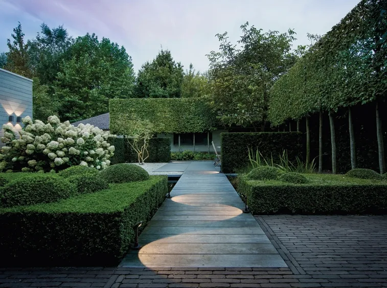 La cura dei fiori da giardino