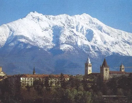 fiori di Cuneo