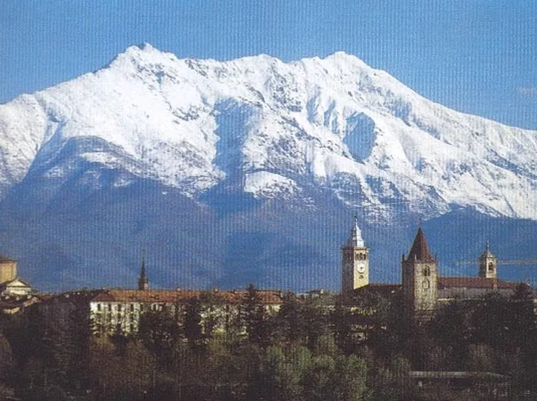 fiori di Cuneo