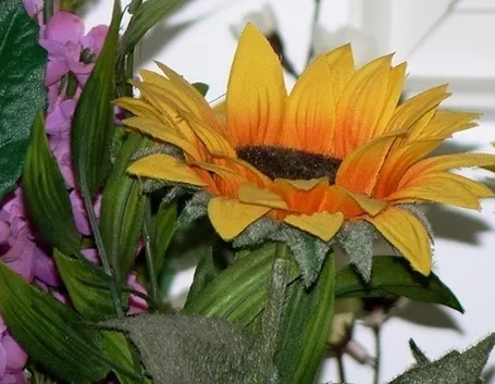 fiori finti