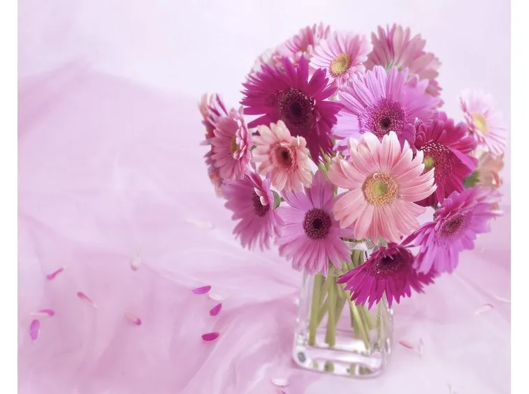 fiori Massa