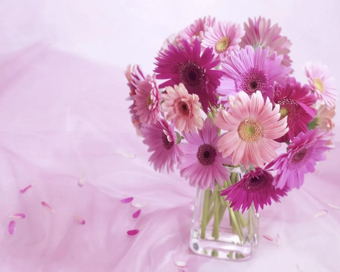 fiori Massa