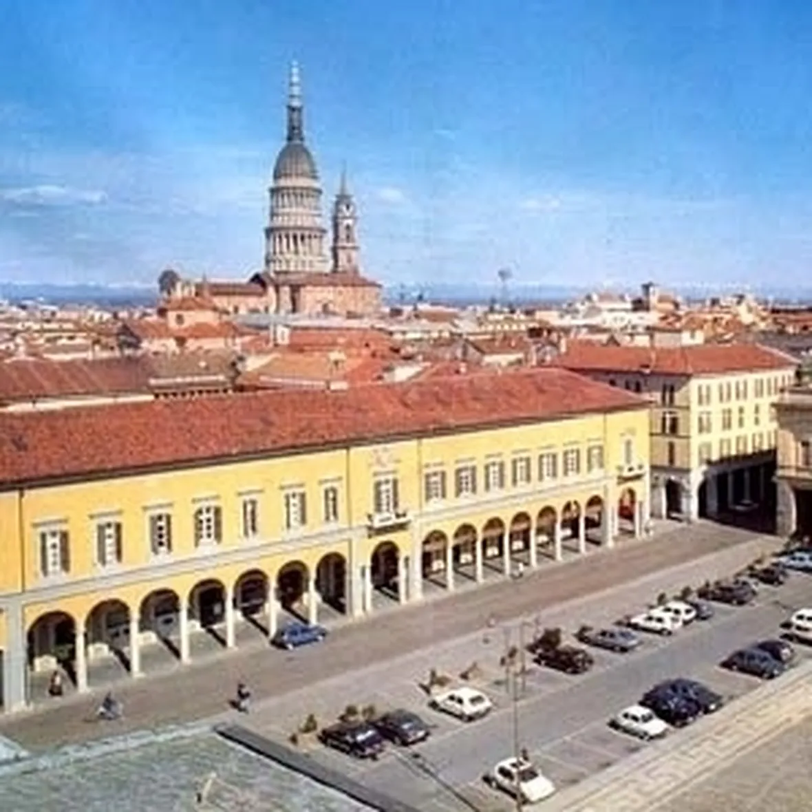 fiori Novara