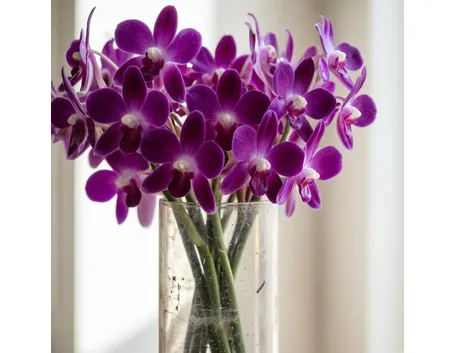 fiori per defunti-4