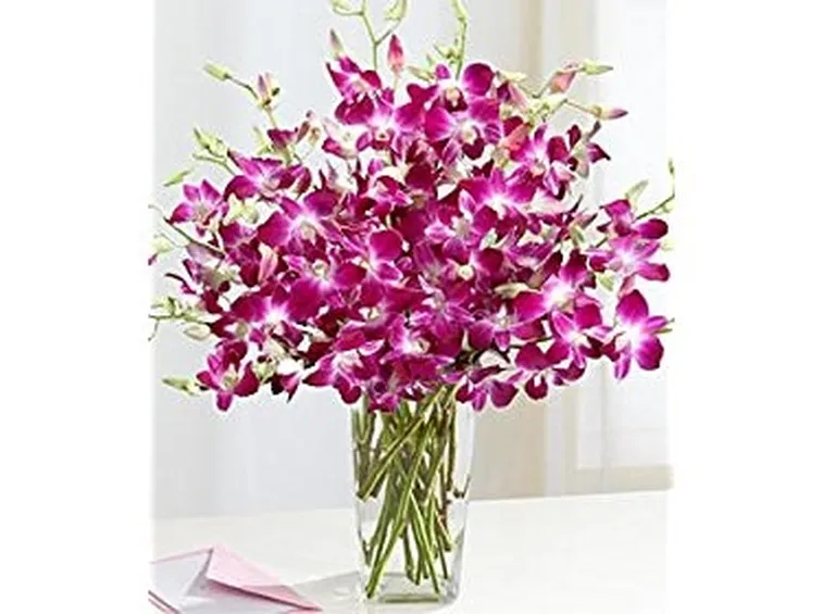 fiori per defunti-4