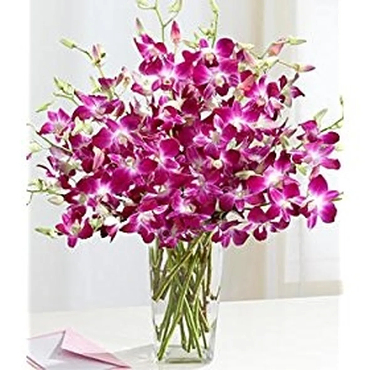 fiori per defunti-4