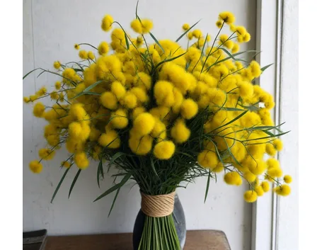 fiori per festa della donna-6