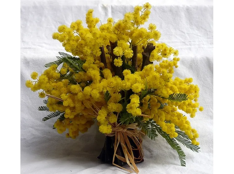fiori per festa della donna-6