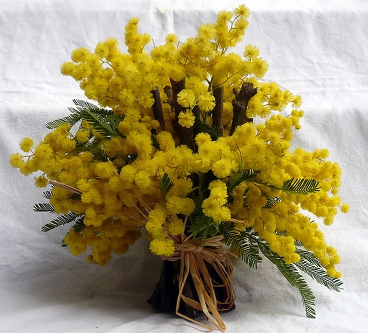 fiori per festa della donna-6