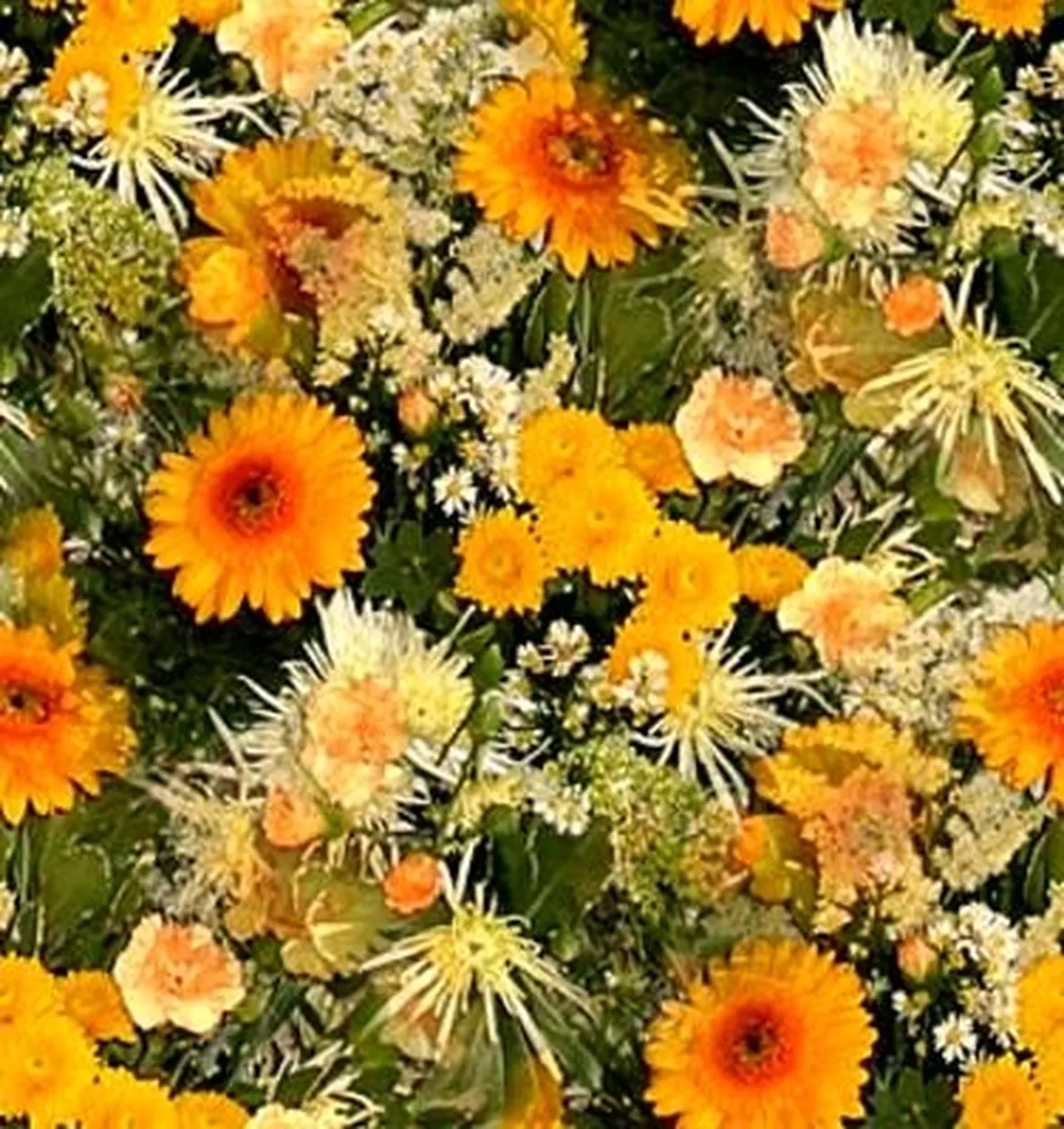 fiori per festa della mamma-6