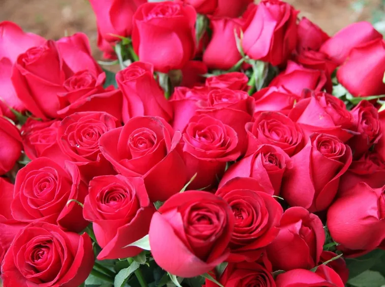 fiori per fiocco rosa