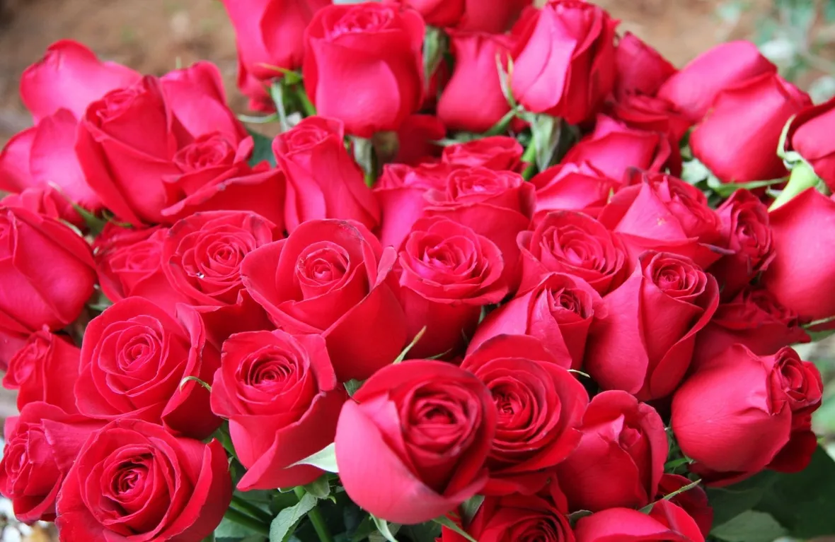 fiori per fiocco rosa