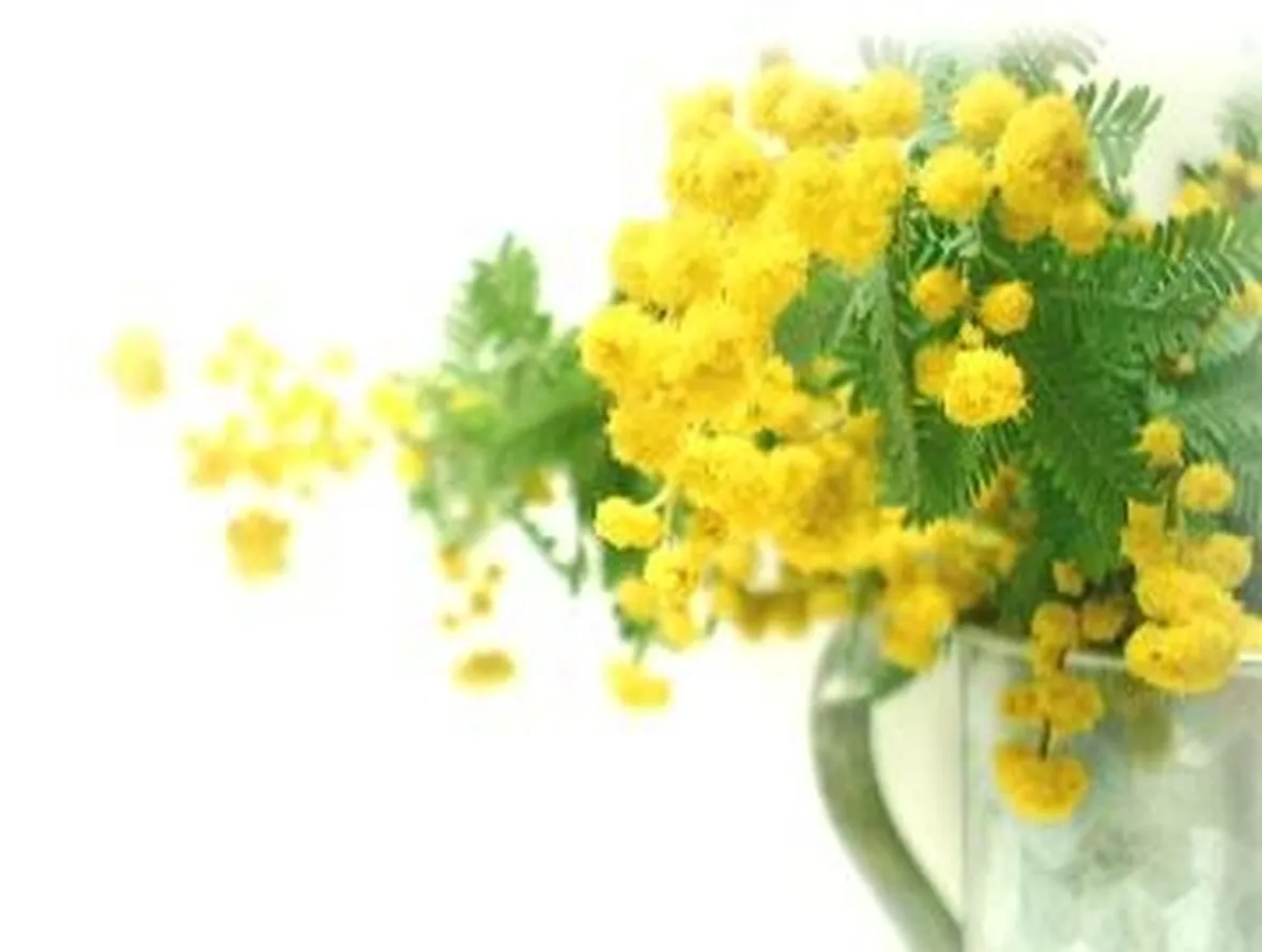 fiori per la mamma-1