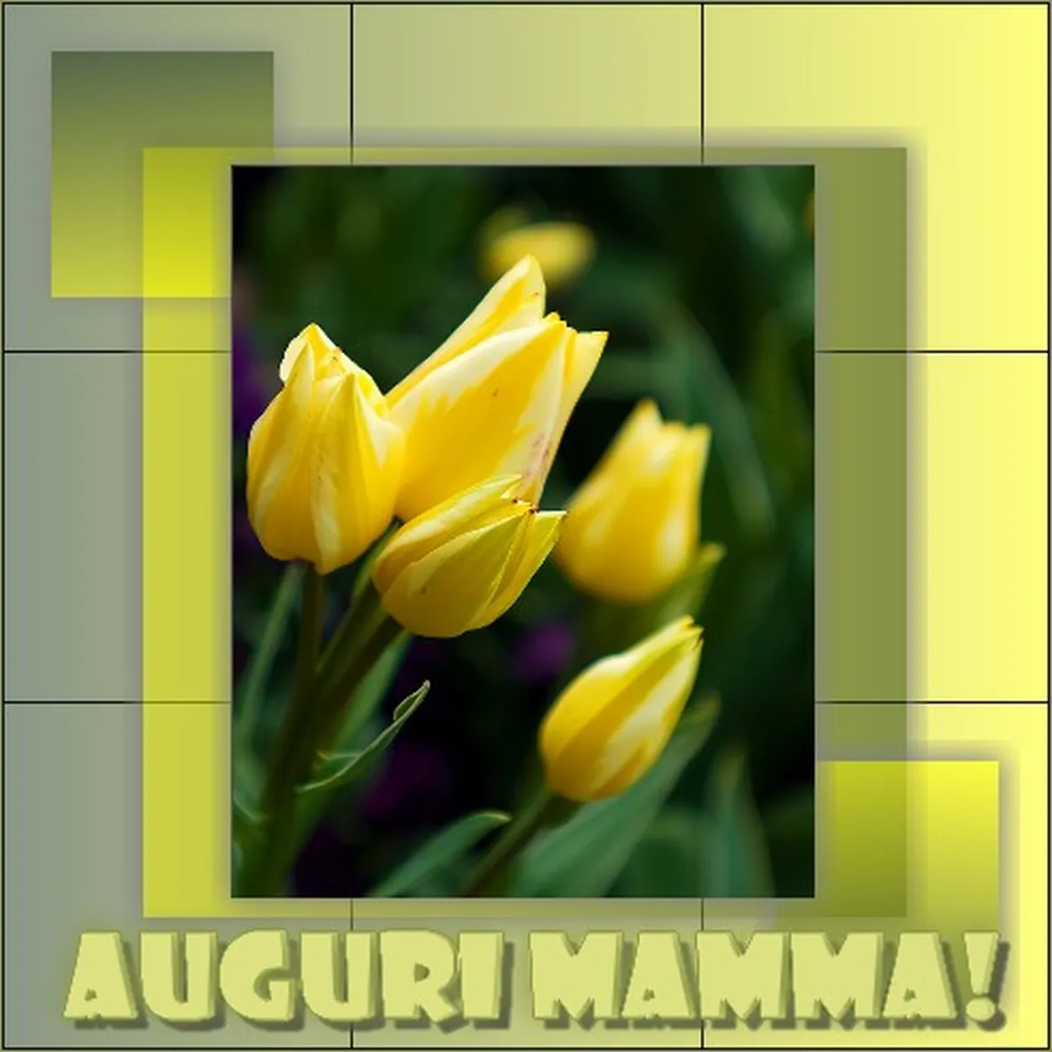 fiori per la mamma-4