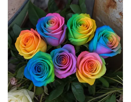 fiori per laurea e diploma-1