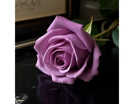fiori per lei-2