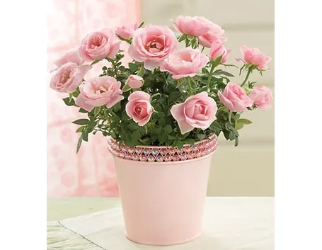 fiori per matrimonio