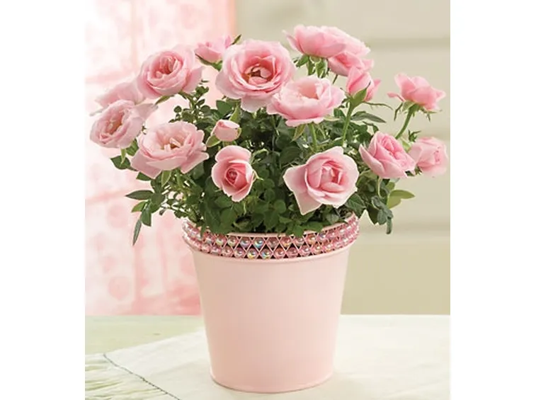 fiori per matrimonio
