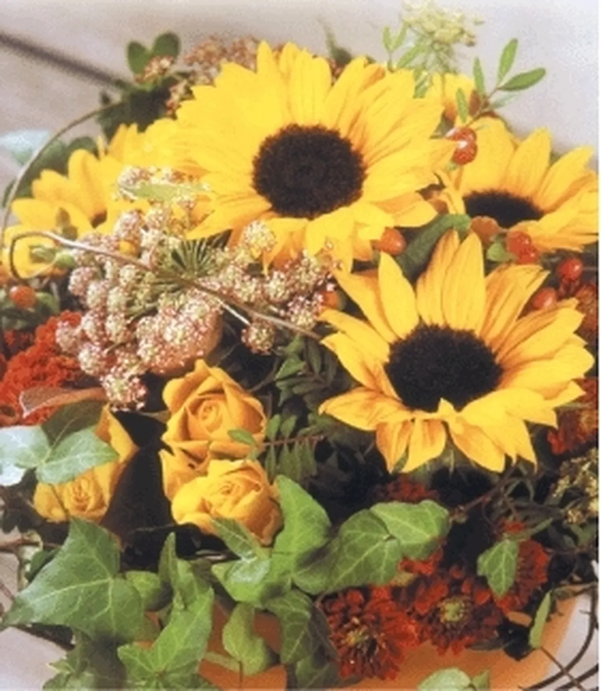 fiori per mi dispiace-4