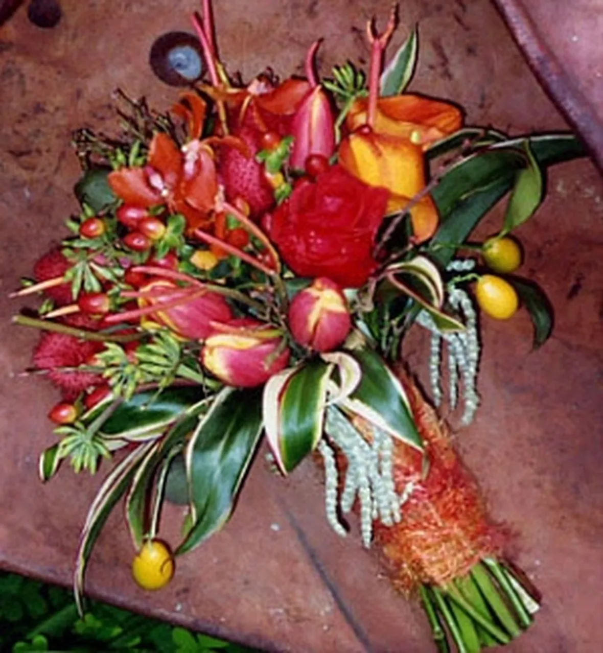 fiori per natale-6