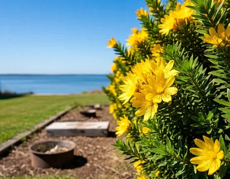 fiori per natale buon anno-1