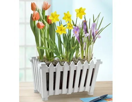 fiori per natale buon anno