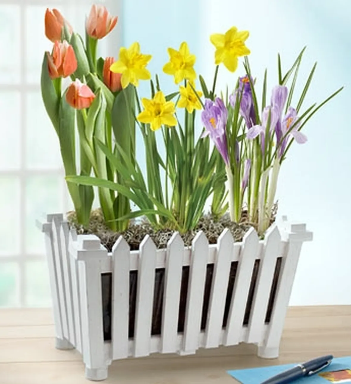 fiori per natale buon anno