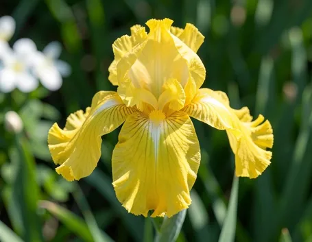 fiori per nozze-4