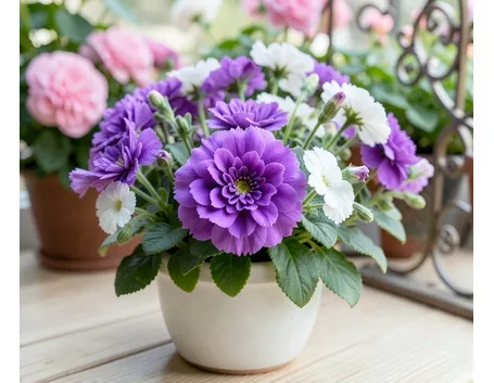 fiori per terrazzo