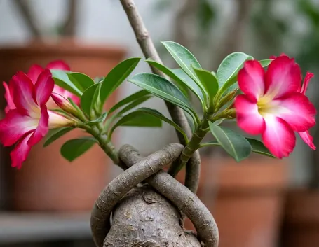 fiori per tutti i santi-3