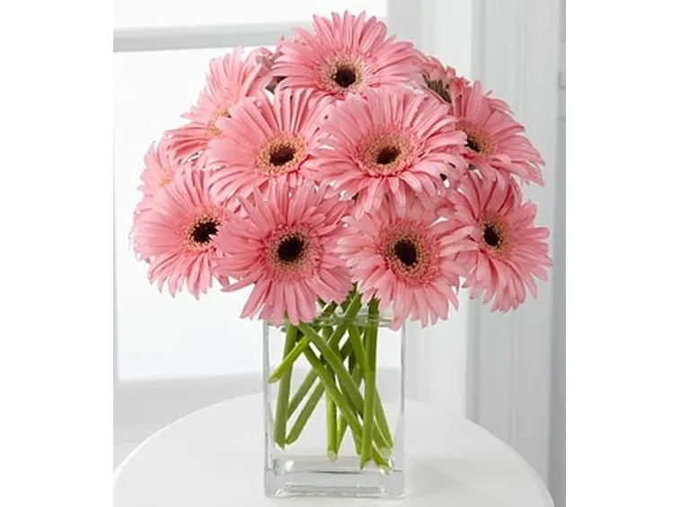 fiori per tutti i santi-6